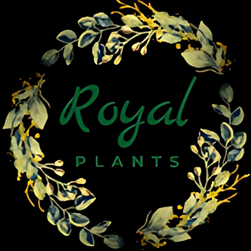 Royal Plants