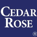 Cedar Rose Rose