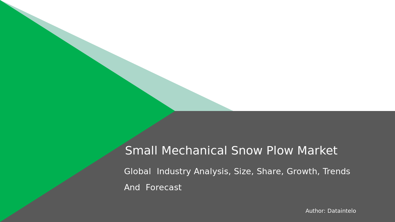 Small Mechanical Snow Plow Market Research Report 2032