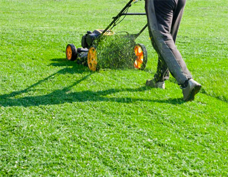 Strata residential landscaping in Langley - Lawn Maintenance