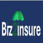 Biz2 Insure