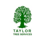 Taylor Tree Services