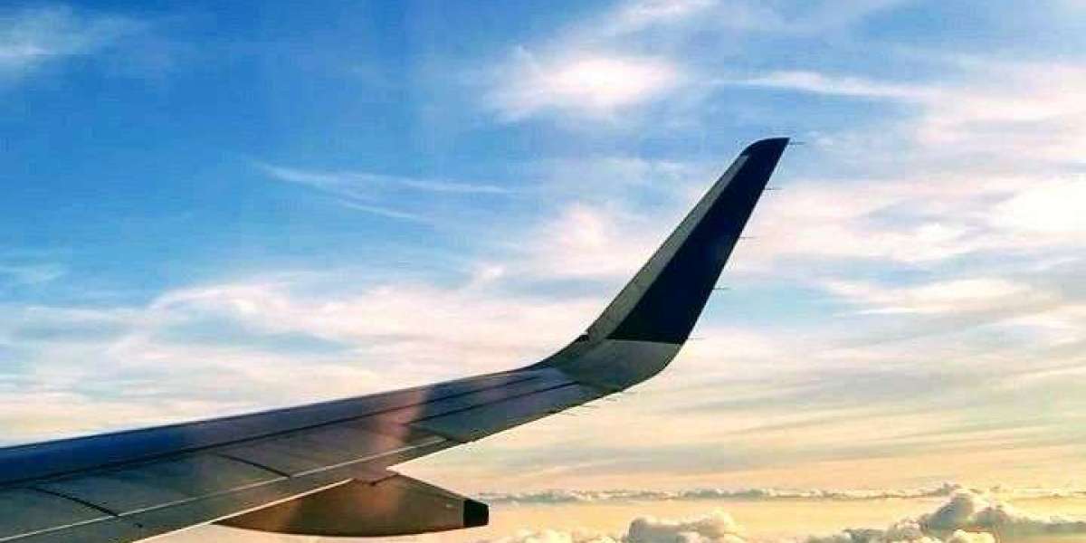 Wizz Air Baku Office