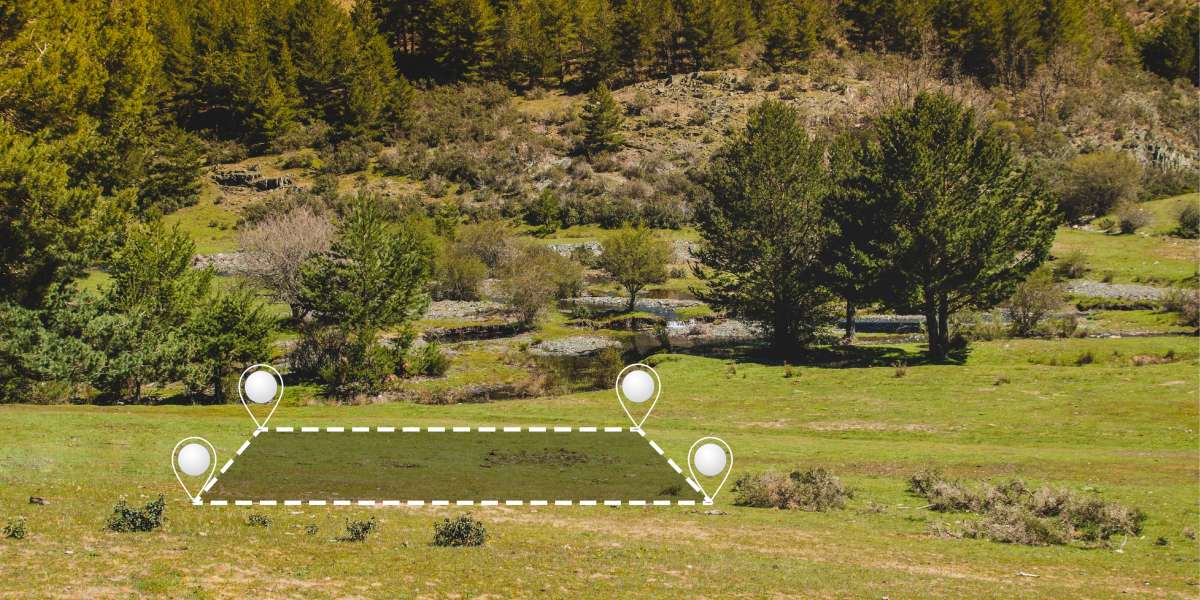 Survey Boundary Lines