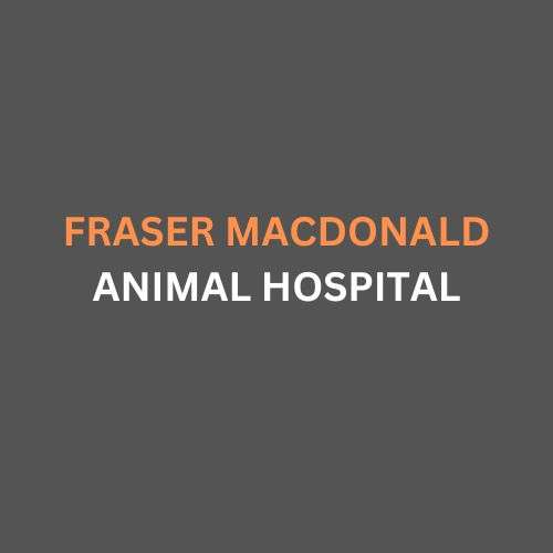 Animal Hospital Bloor West