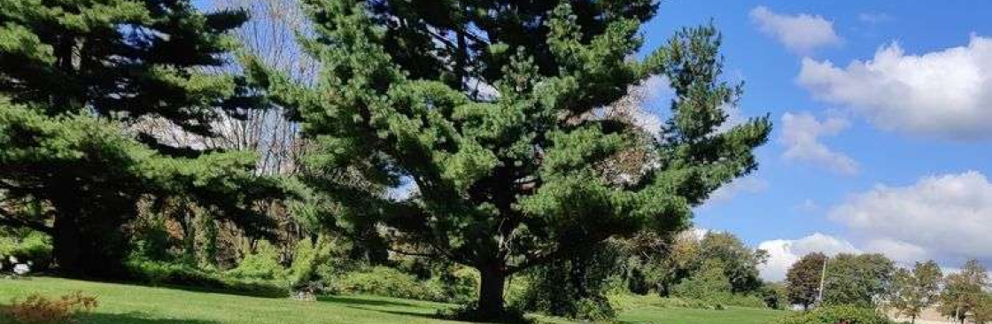 Dear Pet Memorial Park