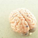 The Neurological Care Center of Montgomery